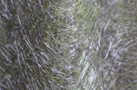 Old Romney fibreglass roof work